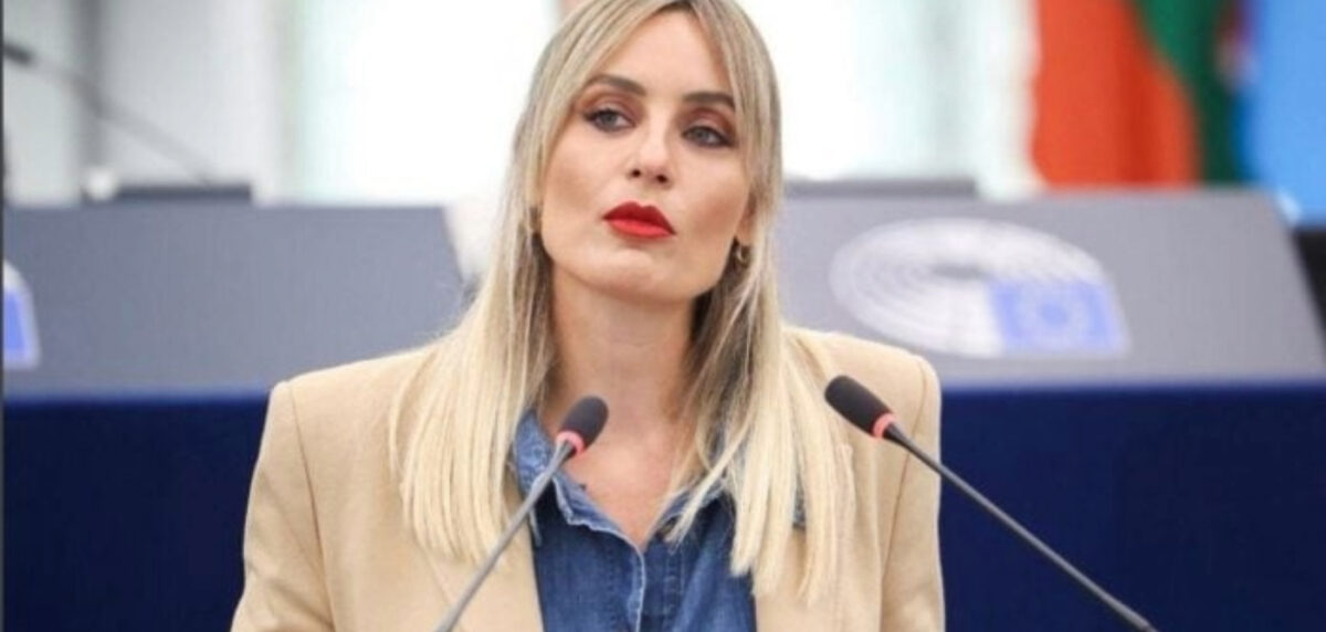 Ε. Μελέτη από το βήμα της ολομέλειας: «Δεν μπορεί ο αλγόριθμος να έχει περισσότερα δικαιώματα από το ανθρώπινο σώμα»