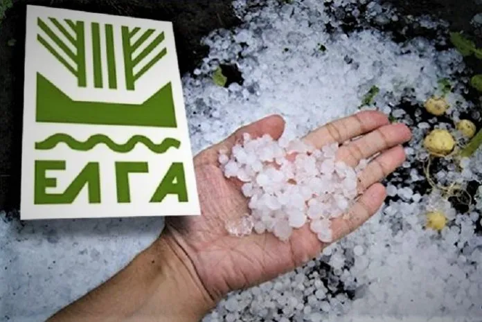 Πορίσματα για εκτιμήσεις ζημιών από χαλάζι για τις καλλιέργειες των Δ/Κ Σκυλλιτσίου και Καβασίλων