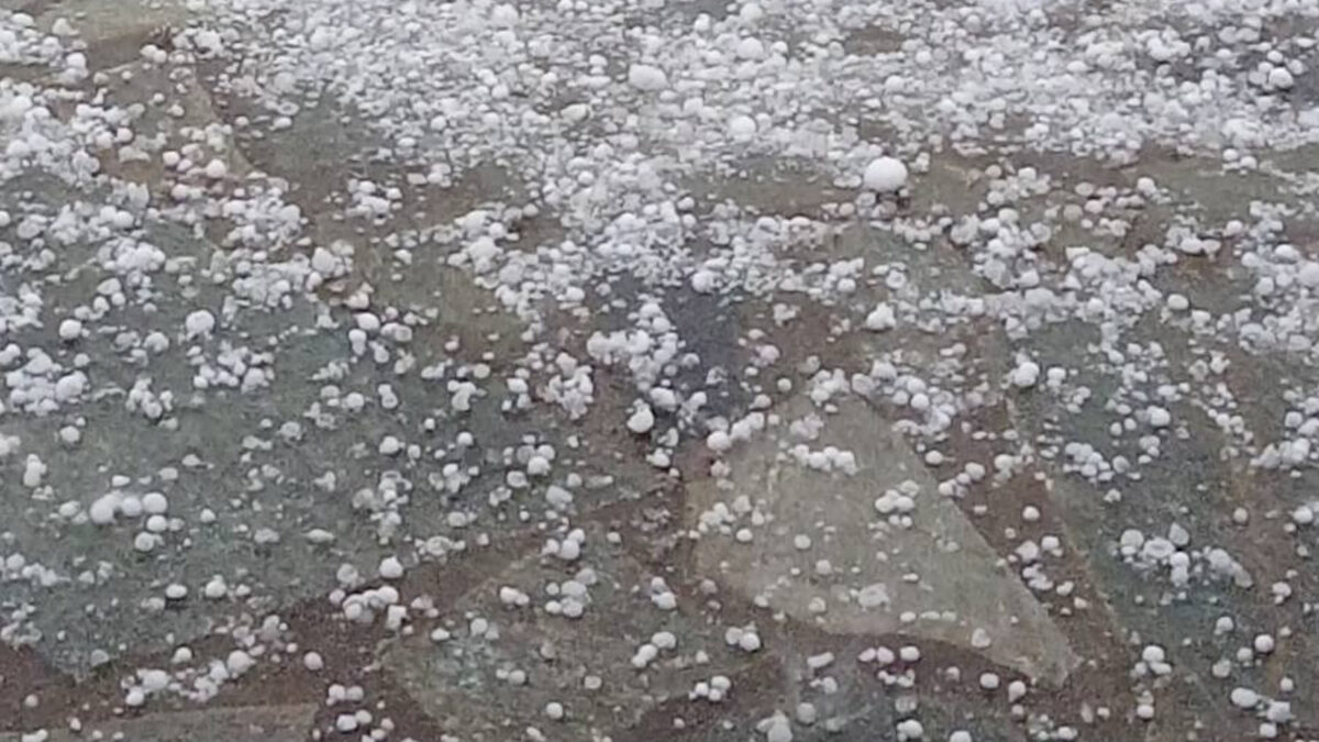 Κοινοποιήση πορισμάτων εκτίμηση ζημίων απο χαλάζι 21/5/2025 για το αγρόκτημα Βέροιας