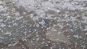 Κοινοποιήση πορισμάτων εκτίμηση ζημίων απο χαλάζι 21/5/2025 για το αγρόκτημα Βέροιας