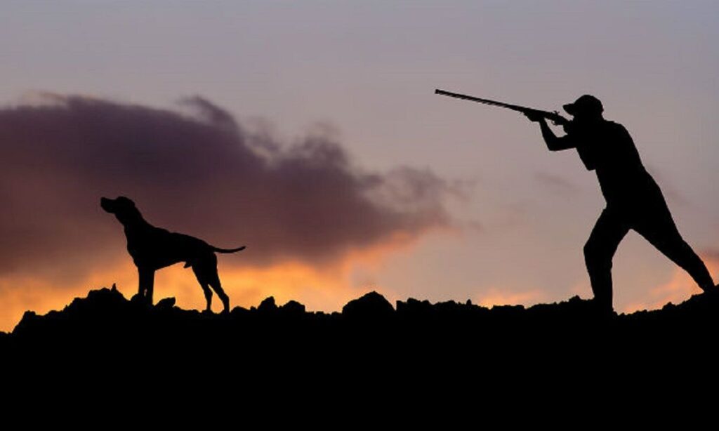 Εκλογές στον Κυνηγετικό Σύλλογο Αλεξάνδρειας και Περιχώρων