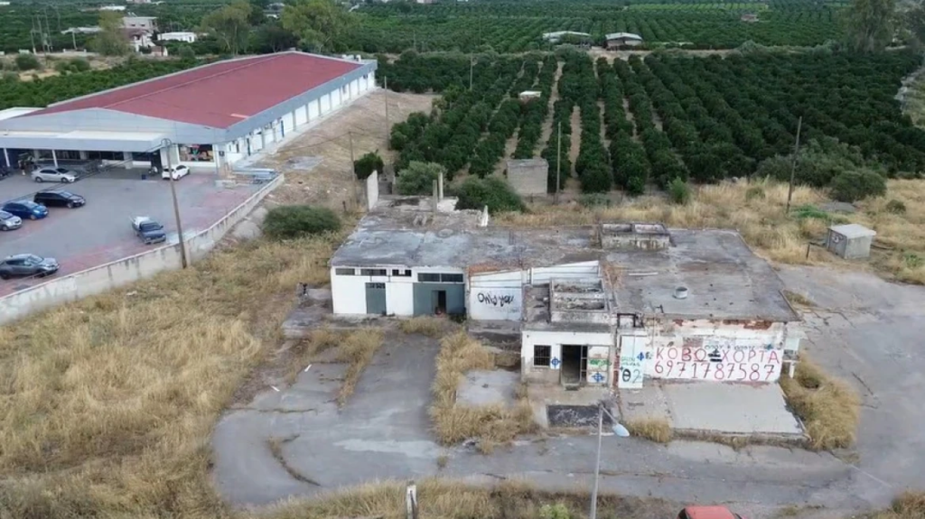 H βαλλιστική θα δείξει αν οι αστυνομικοί πυροβόλησαν στον αέρα ή τον 20χρονο στο Άργος