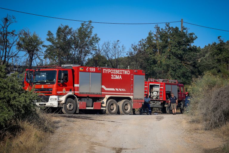Συγχαρητήριο Καλαιτζίδη για την άμεση κατάσβεση της φωτιάς