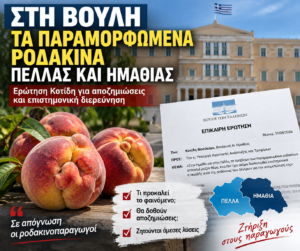 Στην Ημαθία και στην Πέλλα, το πρόβλημα των παραμορφωμένων ροδακίνων αποτελεί το μείζον θέμα